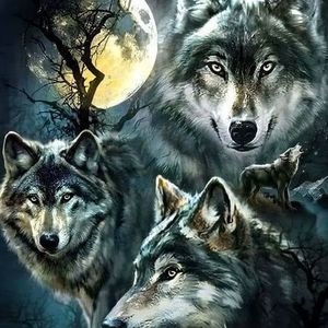 Meet your Posher, Angel